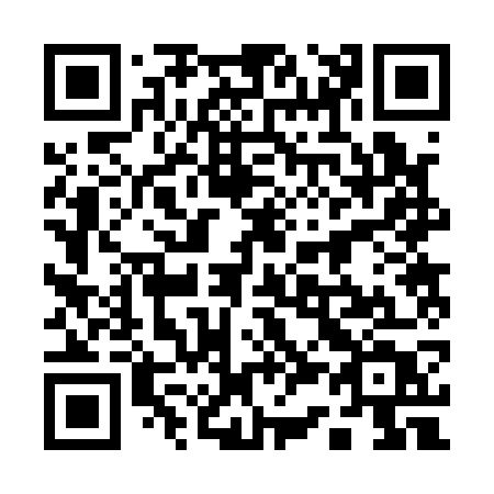QR code for 13-217T