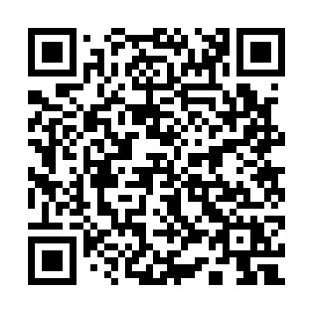 QR code for 13-217X
