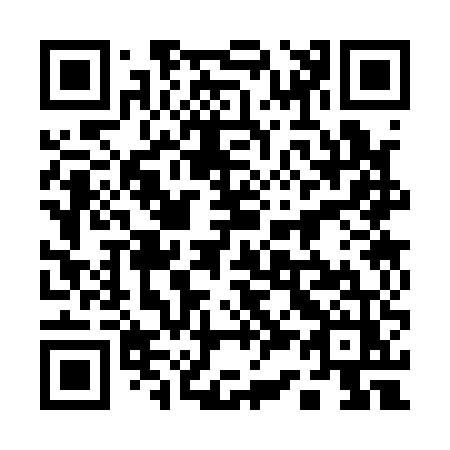 QR code for 13-315Z