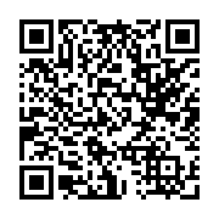 QR code for 13-38WP