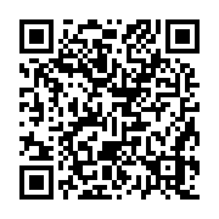 QR code for 13-397Z