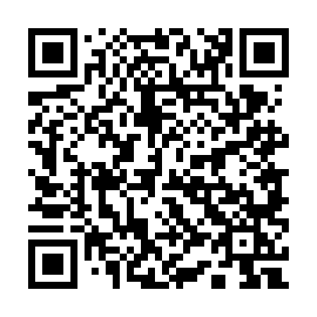 QR code for 13-46LK