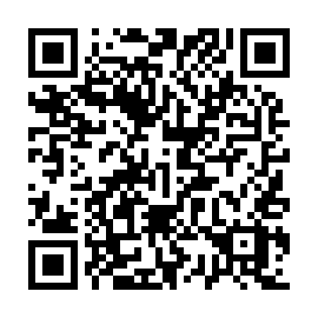QR code for 13-495X