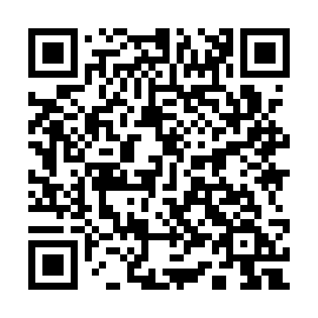 QR code for 13-91SF