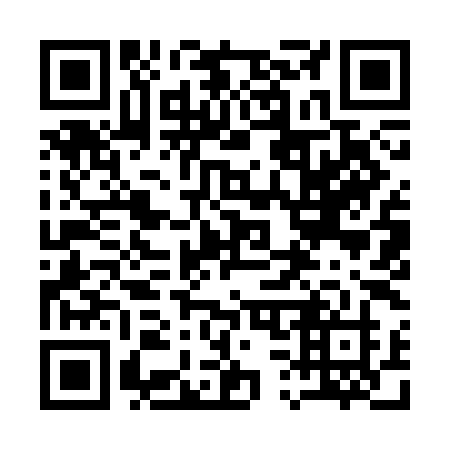QR code for 13-93IJ
