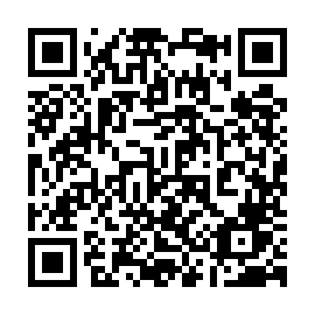 QR code for 13-95NV