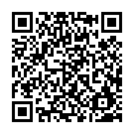 QR code for plate 13-043F