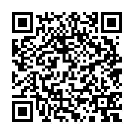 QR code for 1306313
