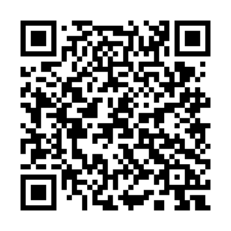 QR code for plate 13-06DB