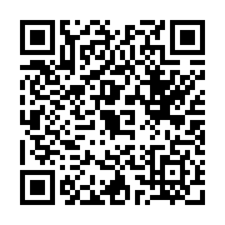 QR code for plate 13-17499