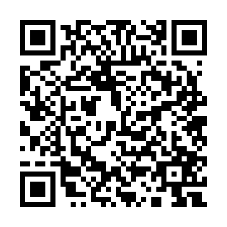QR code for plate 13-22074