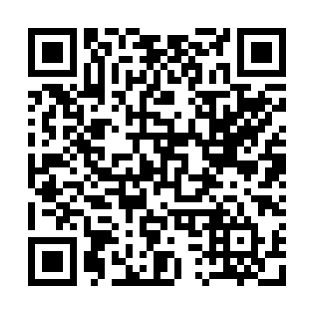QR code for plate 13-228T