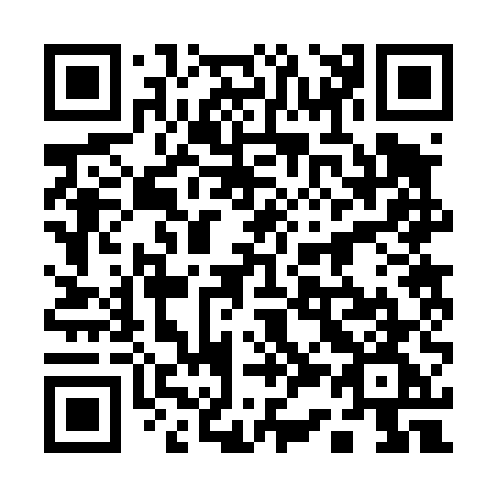 QR code for plate 1-3245G