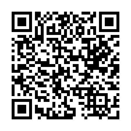 QR code for plate 13-29NQ