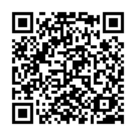 QR code for 13313K