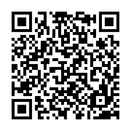 QR code for plate 1-33316