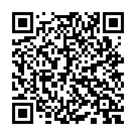 QR code for plate 13-33VD
