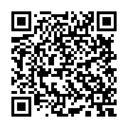 QR code for plate 13-3817