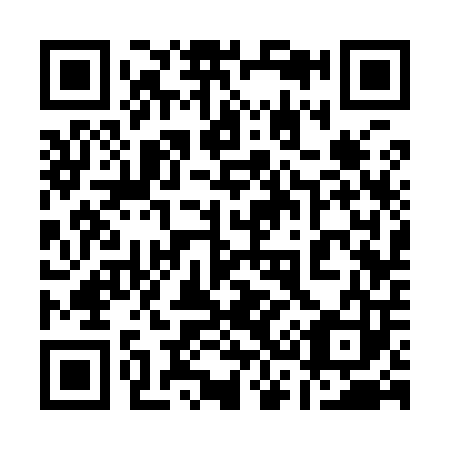 QR code for plate 13-3903