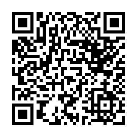 QR code for 13393