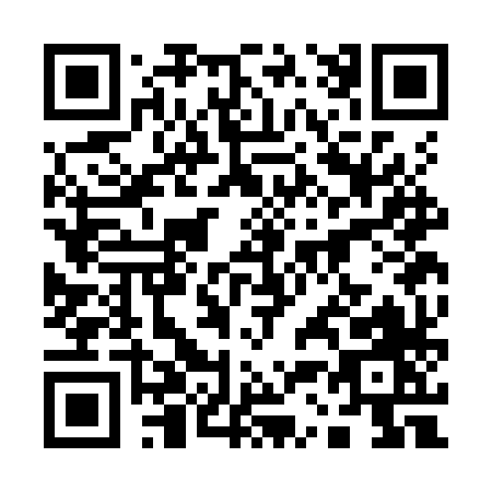 QR code for plate 1-33KX
