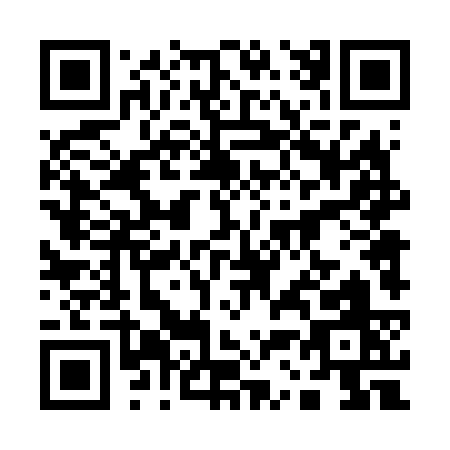 QR code for 13463