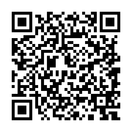 QR code for plate 13-49999