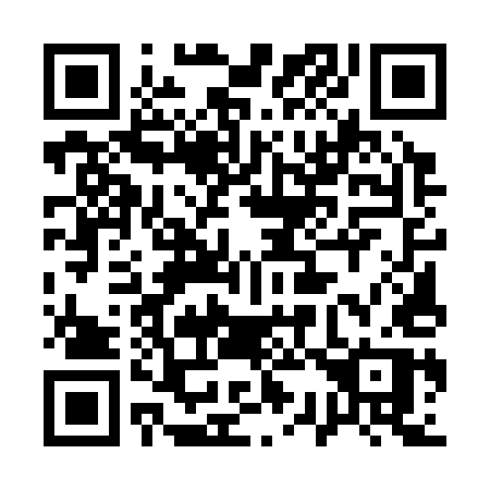 QR code for 13535P