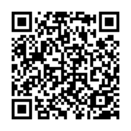 QR code for plate 13-555U