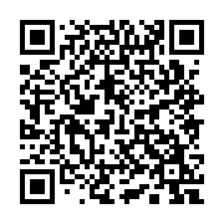 QR code for plate 13-81WO