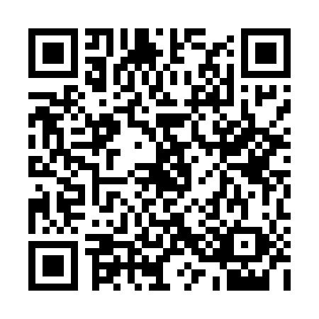 QR code for plate 13-85082