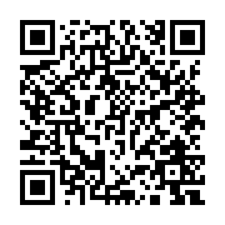 QR code for plate 1-38IW