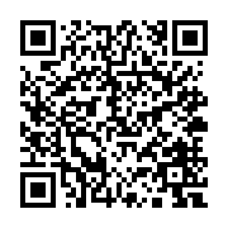 QR code for plate 1-38VM