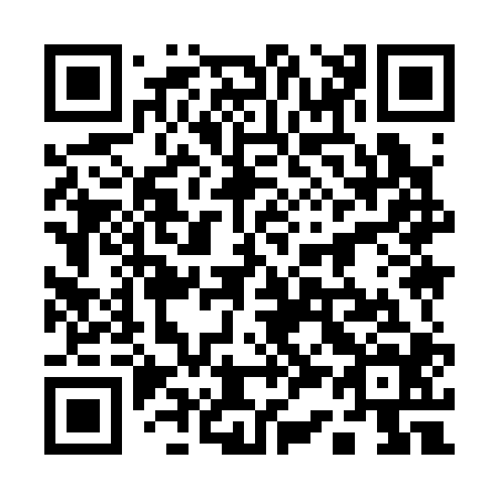 QR code for plate 13-9304
