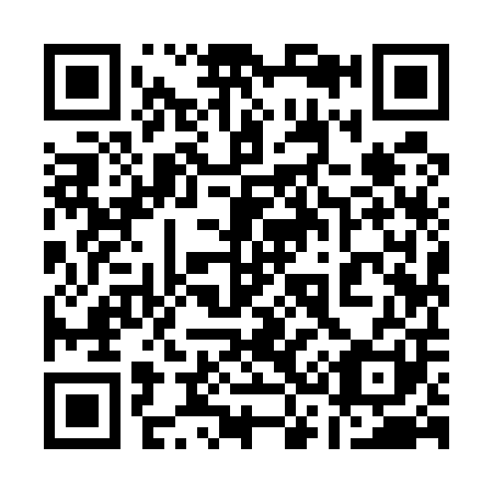 QR code for plate 13-9501