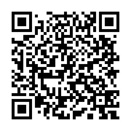 QR code for plate 13-9539