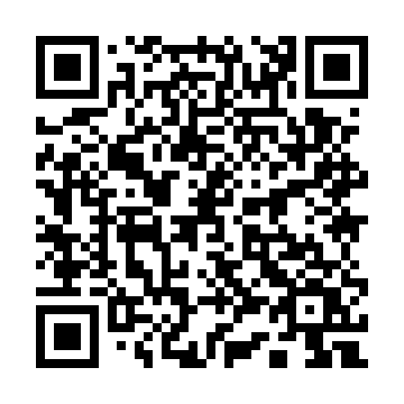QR code for plate 13-95UV