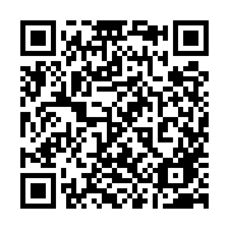 QR code for plate 13-95XG