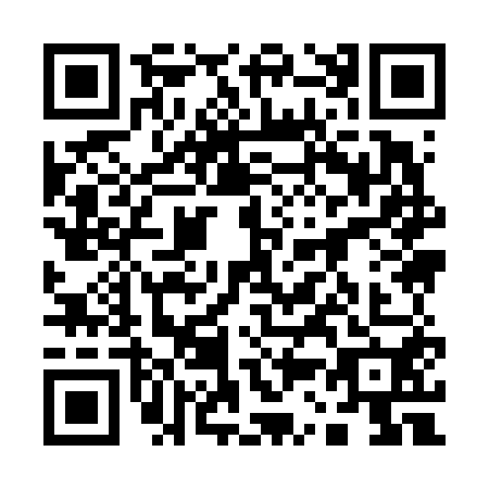 QR code for plate 13-96507
