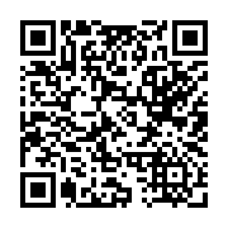 QR code for plate 13-9996
