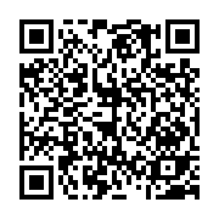 QR code for 13IDS