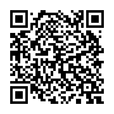 QR code for plate 1-4925V