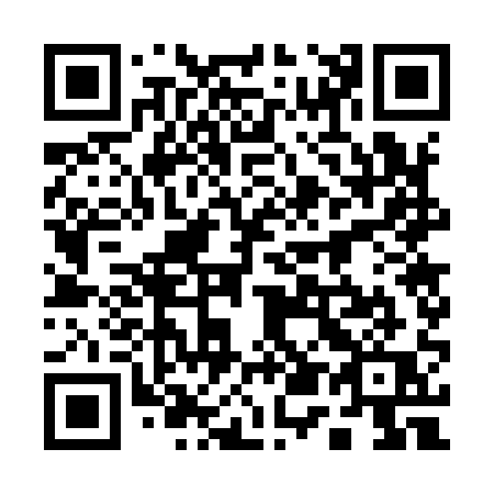QR code for 15-791Q