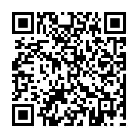 QR code for 15-795Q