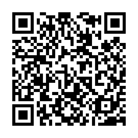 QR code for plate 1-53411