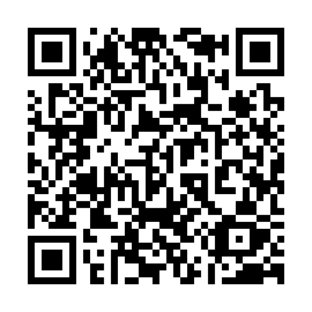 QR code for plate 1-5933Z