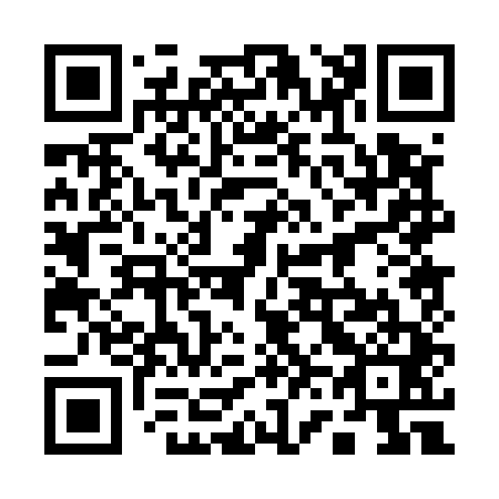 QR code for 16-0541