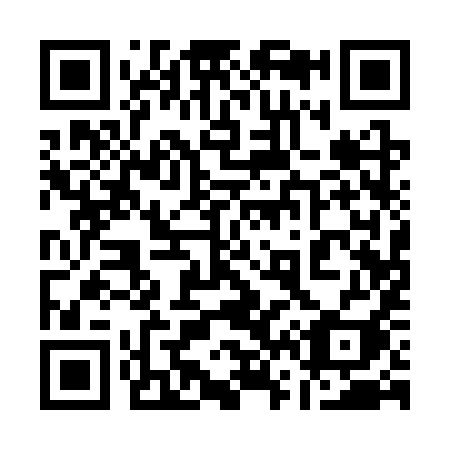 QR code for plate 16-13YI