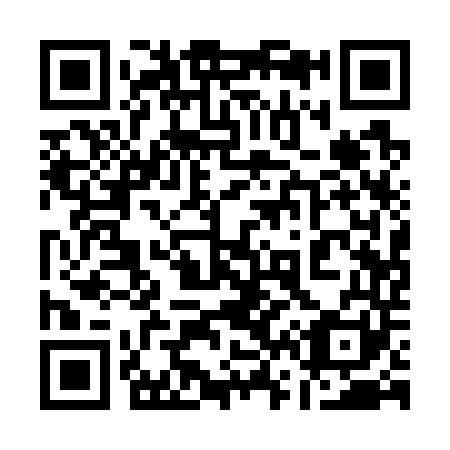 QR code for 161741