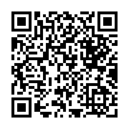 QR code for 161SM